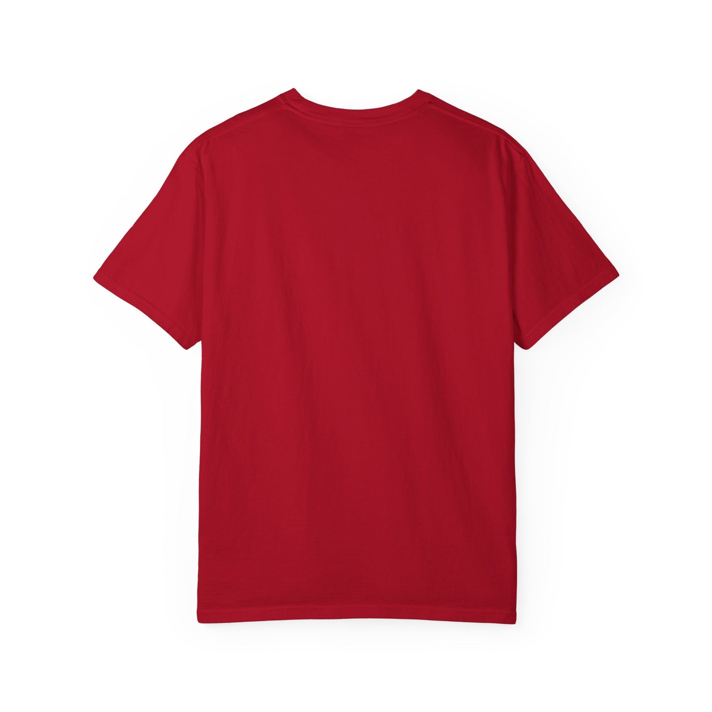 Funny Garment-Dyed T-shirt, Humorous Tee, Gift for Couples, Relaxed Fit, Casual Wear, Statement Shirt, Gift for Him/Her